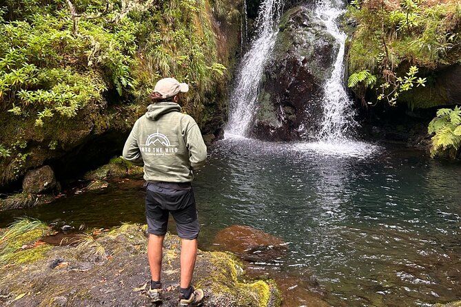 Private Levada Walks and Hiking Tours in Madeira