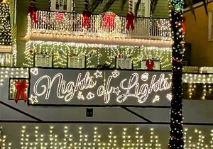 Nights of Lights Private Electric Golfcart Tour up to 7 People