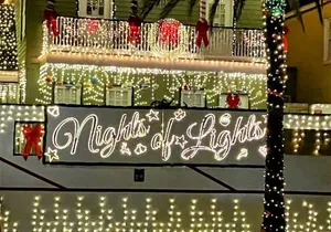 Nights of Lights Private Electric Golfcart Tour up to 7 People