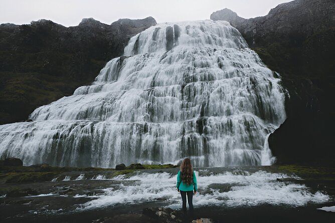 Private Tour from Isafjordur: Dynjandi Waterfall and Westfjords