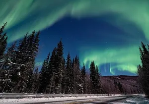 Chena Hot Springs plus Aurora Chase Tour