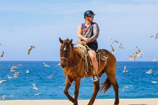 Ultimate Cabo Adventure UTV Horseback and Sky Bike Combo