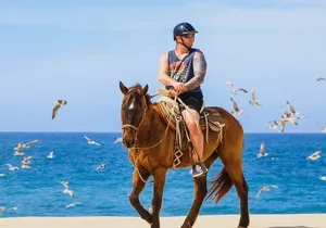 Ultimate Cabo Adventure UTV Horseback and Sky Bike Combo