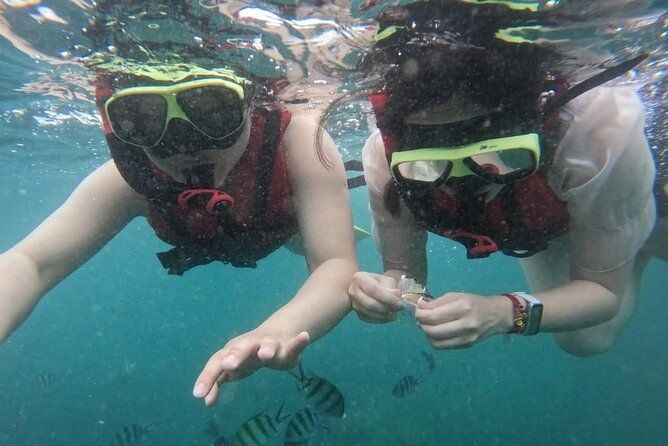 *Popular Tour* - Bay of Islands: Nature Adventure - 4hrs
