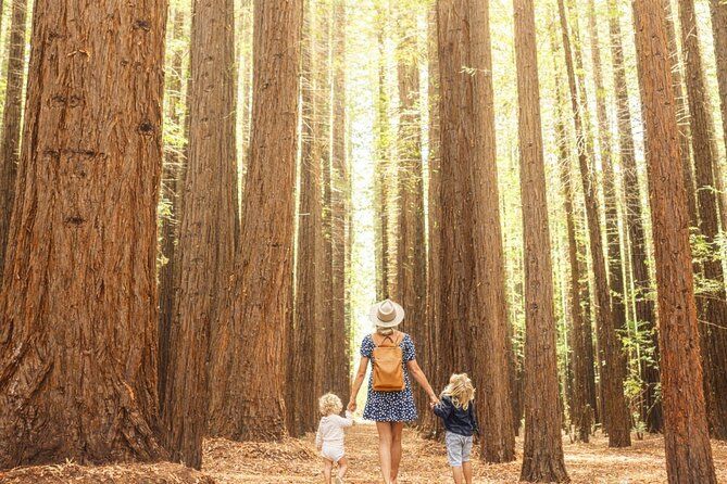 Yarra Valley Small Group | Redwoods, Wildlife/Farm & Chocolate