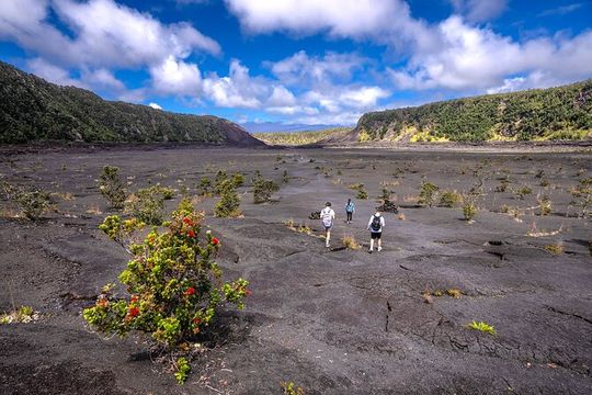 Expert Led Private Guided Tour Hawaii Volcanoes National Park