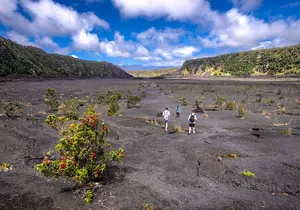 Expert Led Private Guided Tour Hawaii Volcanoes National Park