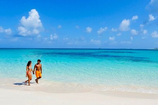 Nassau Private Swim with Pigs, Turtles and Snorkel Tour