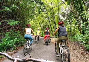 Blue Mountain Bicycle Tour Experience