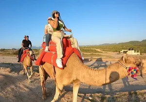 Camel Ride Adventure Cabo San Lucas