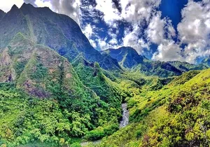 Iao Valley Nature Walk
