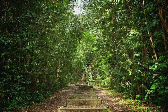 Private East Maui Hiking Experience
