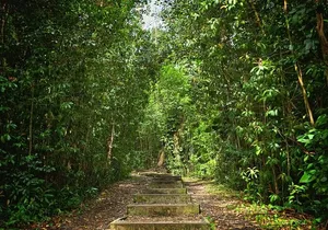 Private East Maui Hiking Experience