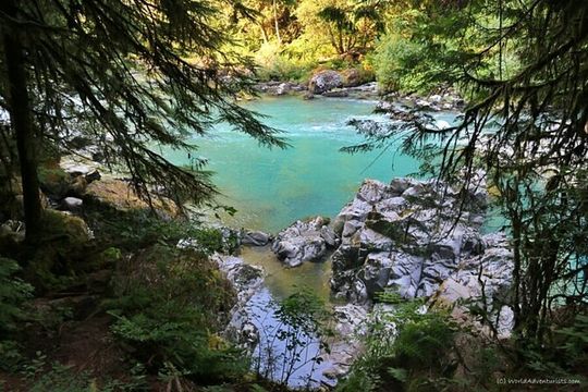 Squamish Canyon Sightseeing Tour From Canada