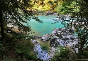 Squamish Canyon Sightseeing Tour From Canada