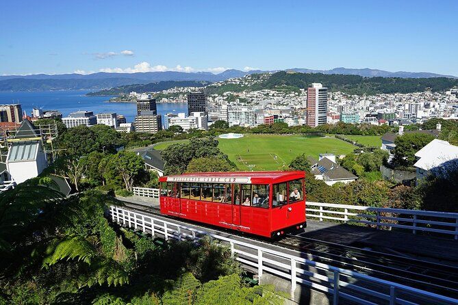 Wellington Private One Day Tour