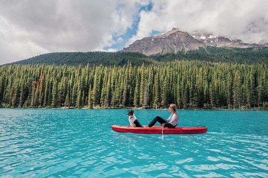 Columbia Icefield Skywalk Peyto Lake Bow Lake Tour from Calgary