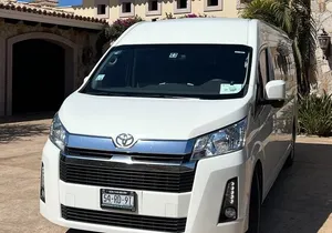 Private Round Trip Transfer to San José del Cabo Art Walk