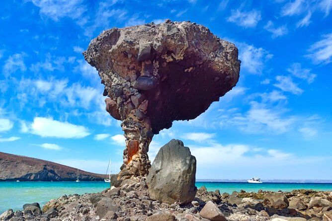 Tour to La Paz Playa Balandra Malecón and Todos Santos