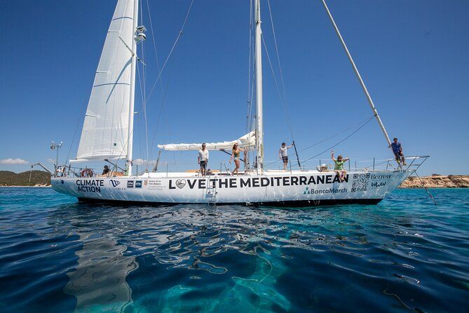 Crystal River: Three Sisters Paddleboarding and Snorkeling Tour