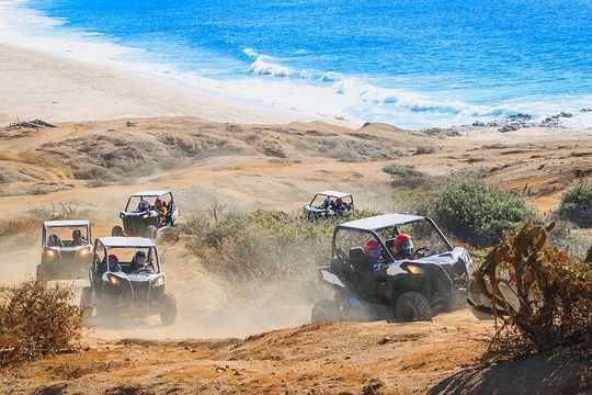 Cabo UTV and Camel Ride Combo