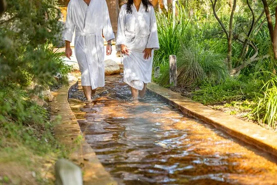 Depart Peninsula: Mornington Wine & Hot Springs Tour with Lunch