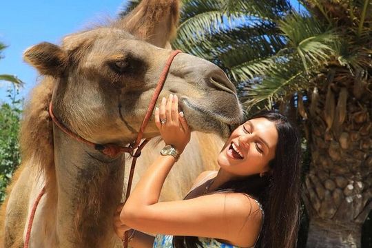 Camel Safari and Gastronomic Experience in Los Cabos
