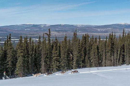 Sunset and Full Moon or Extended Ridge Top Mush