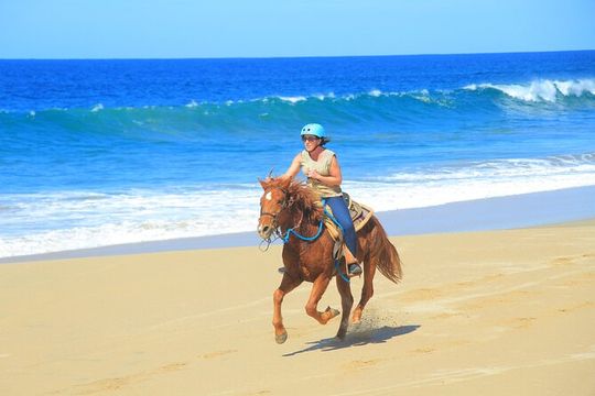 Cabo ATV Adventure with Camel and Horseback Ride
