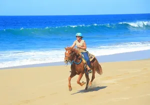Cabo ATV Adventure with Camel and Horseback Ride