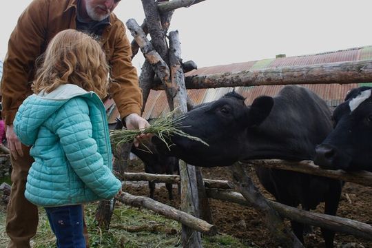 Private Tour at Historic Alaska Dairy Farm