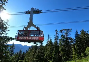 Grouse Mtn Stanley Park Hatchery Cleveland Dam Lynn Canyon Tour