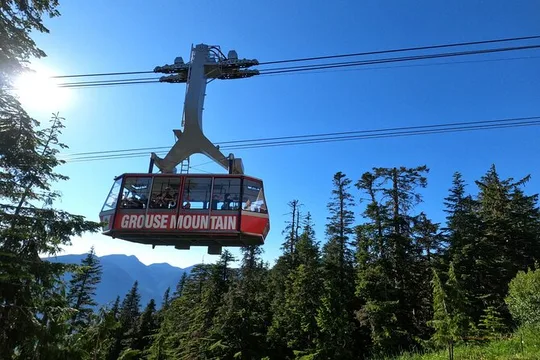 Grouse Mountain, Lynn Canyon Park, Hatchery + 3 more Sights Tour