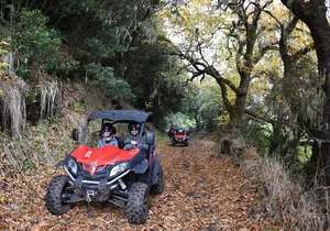 Buggy Tour The Volcanoes 5 Hours in La Palma