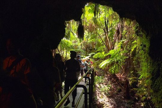 Big Island Scenic Tour: Volcano HiloTown Waterfalls Beach & Lunch