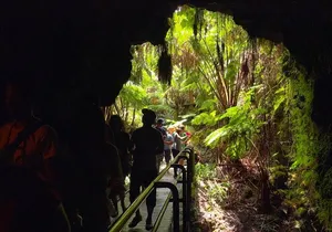 Big Island Scenic Tour: Volcano HiloTown Waterfalls Beach & Lunch