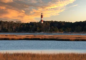Narrated Sunset Wild Pony Cruise in Chincoteague
