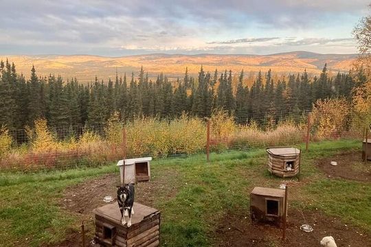 Sluice Box Kennel Experience
