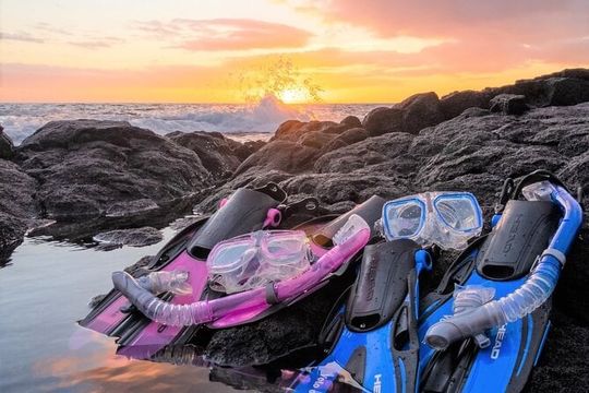 Kona Snorkeling Gear Rental Dive Into Adventure