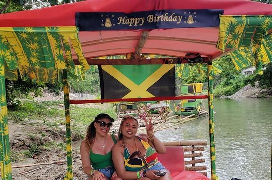 Excursions In Ocho Rios Jamaica from Hotels and Cruise Ship Ports