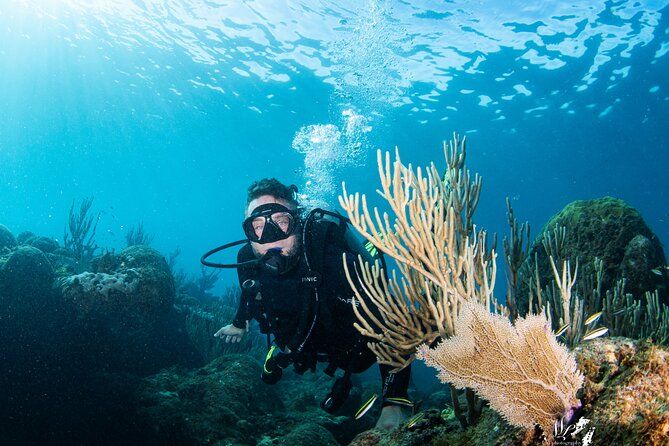Experience Scuba