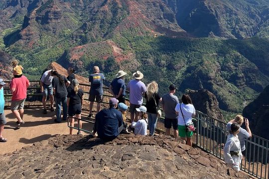 Kauai Full Day Tour with Cruise ships or Kauai Airport Pickup