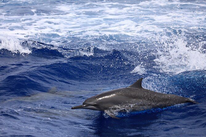 Private Full-Day Luxury Cruise - a Serene Voyage to the Islands