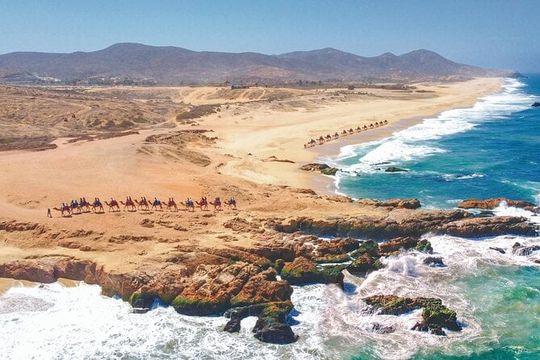 Cabo Beach Adventure Camel Ride and Sky Bike Experience