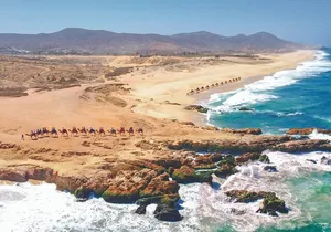 Cabo Beach Adventure Camel Ride and Sky Bike Experience