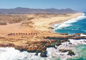 Cabo Beach Adventure Camel Ride and Sky Bike Experience