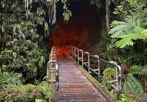 2 Days Private Cruise Shore Excursions to Hilo and Kona