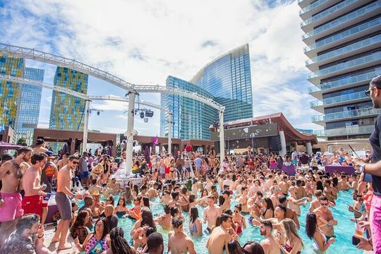 Las Vegas Pool Crawl with Party Bus & Free Drinks