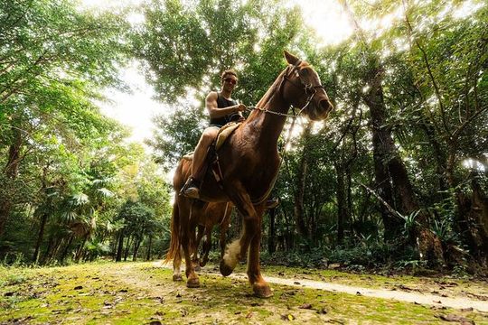 Half-day Cancun: Horseback riding, ATV, zipline & cenote