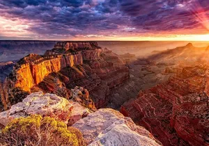 Small Group Grand Canyon, Hoover Dam and Joshua Tree Forest Tour